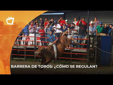 Lesionados por el colapso de gradería en Río Coco podrían reclamar indemnización