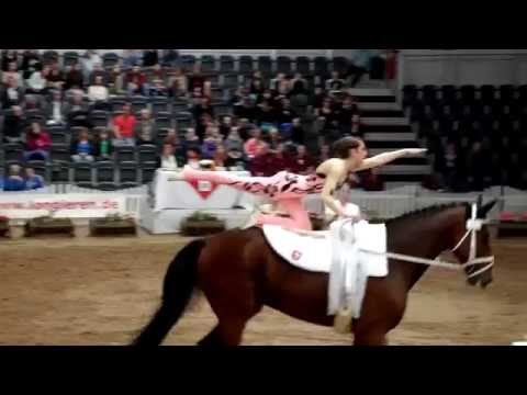 DJM Münchehofe 2014 Juniorteam RV Nethegau Brakel Pflicht Freitag