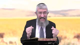 מסכת חולין דף כה - 8 דקות של לומדות ועמקות בדרך הלימוד הישיבתית [Hullin 25]