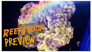 ReefStock Australia Preview 2019