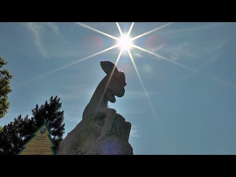 Hohegeiß und Sankt Andreasberg - Unterwegs in Niedersachsen - SHORTY