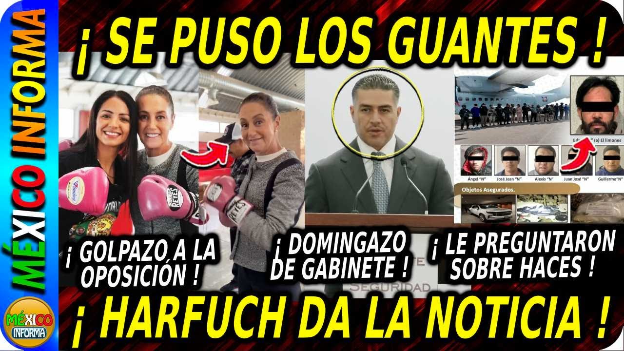 LA PRESIDENTA SE PUSO LOS GUANTES. HARFUCH DA LA NOTICIA EN PLENO DOMINGO: LA PRENSA LE PREGUNTA.