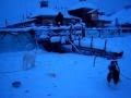 Russia - Yakutsk Siberia coldest place - Sled dogs ...
