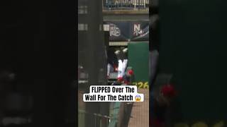 Prospect Jay Harry ran through a wall (literally) to make this catch ???? #BlueJays #FisherCats