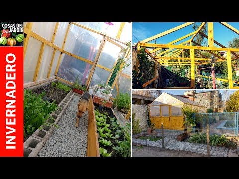 When you see this homemade wooden greenhouse you will want to build one just like it
