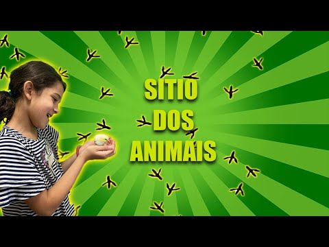 Sign Language for Animals! ASL/ LIBRAS