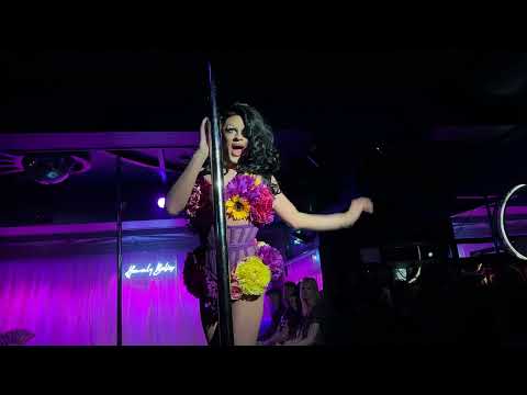 Honey Foxx - Summertime @ Heavenly Bodies, Freedom Bar, London - 30/04/2023