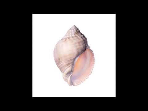 Octo Åeterna - Organic Motion [ORGANICA001]