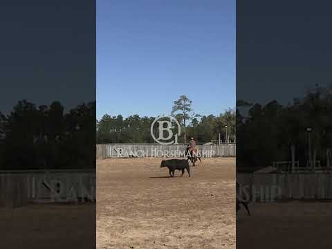 Just drrraaaggg 'em back to the cow.  RB #b1