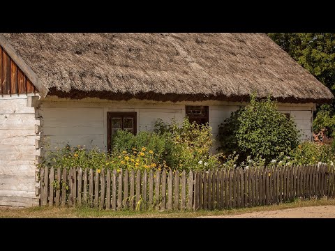 Shoku i burrit po me q.n cdo dit ne podrum..