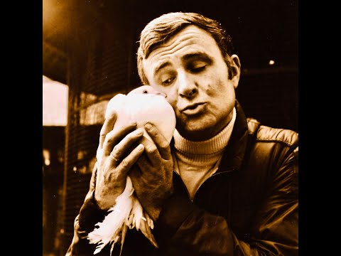 Duivenkot - Bobbejaan Schoepen (1950)