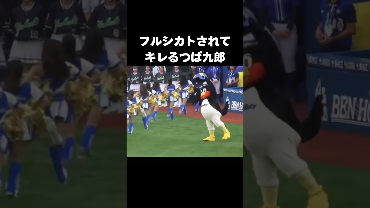 おかえりつば九郎！みんな待ってたよ！#つば九郎