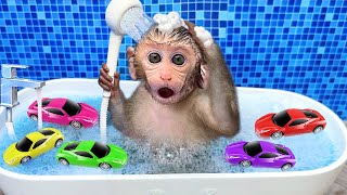 Monkey Baby Bon Bon Bathing In The Bathroom With Eating Watermelon With Ducklings Side Swimming Pool