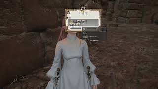 FINAL FANTASY XIVる！パッチ5.0 漆黒のヴィランズ無実況のんびりプレイ～ その13(1080p 60fps) HD
