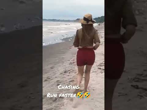 #fun #beach#vibes#chasing #birds 😀😀 #viral #shorts#amuse#enjoy #excited #port#staynley
