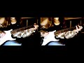 PJ Harvey - Joy (Guitar Cover)