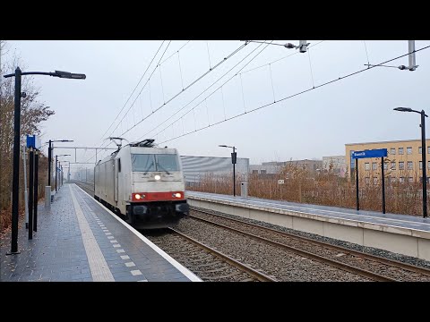 *Toeter* TRAXX snelt door Bunnik, als LLT! // Single TRAXX loco rushes through Bunnik, 17-12-22!