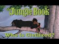 The Jungle Book Who Is Civilized