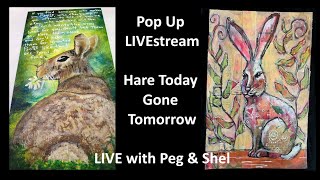 Pop Up LIVEstream - Hare Today Gone Tomorrow
