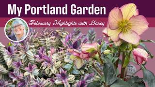 My Portland Garden in Winter — February Highlights with Darcy