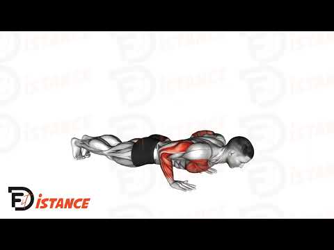 Pompes plyométriques - Exercice Pompes plyométriques en vidéo