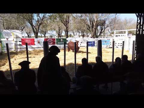 Extraordinario remate de Cámara de Cabañas Santafesinas en Emilia (Santa Fe)