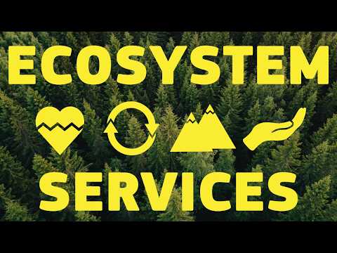 Ecosystem services and Biodiversity - Science for Environment Policy