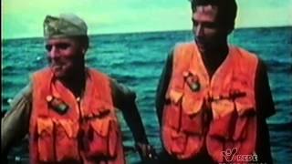 Discovery Channel: Entenda o seu Mundo {Volume 11} - Entendendo os Oceanos