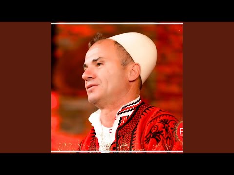 Nebi Dauti - Ku po knon ai zogu i zi