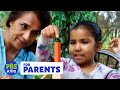 Shape Hunt Adventure How Many Shapes Can You Find Peg Cat PBS KIDS For Parents