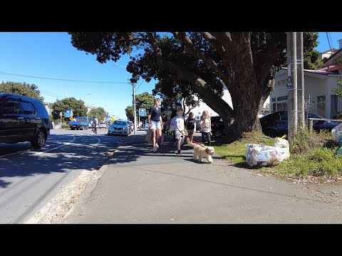 (4k) Summer Wednesday afternoon walk. Island Bay, Wellington, NZ | February 2022.
