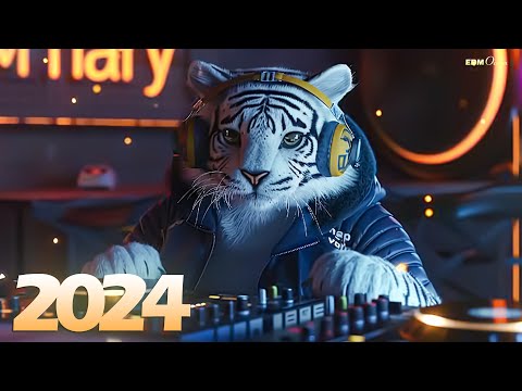 EDM Bass Boosted Music Mix 🎧EDM Remixes of Popular Songs🎧EDM Music Mix 2024 #9