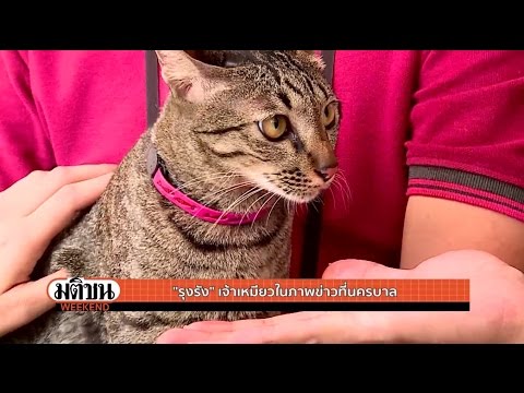 คลิกเพื่อดูคลิปวิดีโอ