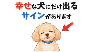 【幸せのサイン】犬がいまの暮らしに満足しているとき出る変化 13選