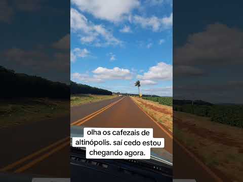 um pedacinho dos cafezais  de altinópolis.  olha que lindos.
