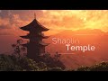 Shaolin Temple Kung Fu Wushu Tai Chi Practise Sounds
