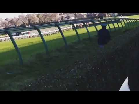 中山グランドジャンプ☆オジュウチョウサン4連覇おめでとう☆