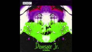 Dinosaur Jr. - No Bones - BBC In Session