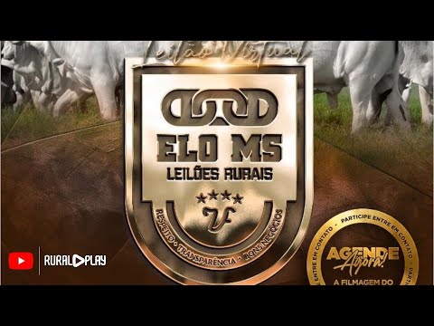 124º LEILÃO VIRTUAL ELO MS - CAMAPUÃ/MS - RURAL PLAY