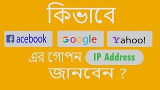 how to get ip address from domain name