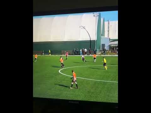 Video-Miniaturansicht