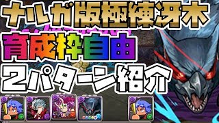 【パズドラ】ナルガでも１枚抜き！冴木極練育成枠自由＆継承不要２パターン紹介【ディアデムロマノフ難民】