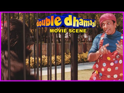 Ritesh Saves Kangana From Real Guerrilla | Double Dhamaal | Movie Scenes | Ritesh Deshmukh | Kangana