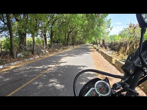 Aventura por el rincón del pino hasta la parte alta del pinal