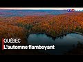 L'automne flamboyant au Québec