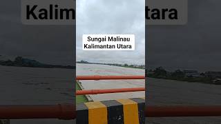 Download lagu Sungai Malinau Kalimantan Utara #shorts #shortsvideo mp3