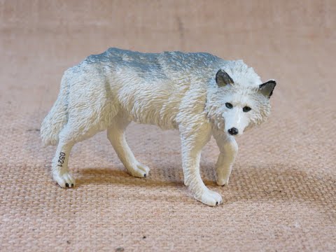 Safari Ltd. Wild Safari White Wolf set # 220029 review