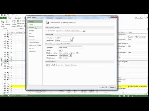MS Project 2013 Showcase