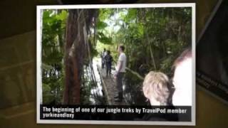 preview picture of video 'Sani Lodge- the mighty Amazon jungle Yorkieandloxy's photos around Coca, Ecuador (jungle coca)'