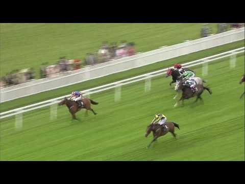2016 Prince of Wales's Stakes - My Dream Boat - Racing TV